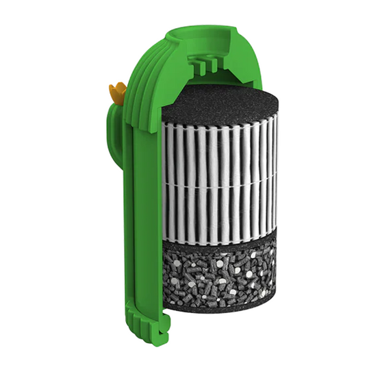 Blaze the Cactus: Filter